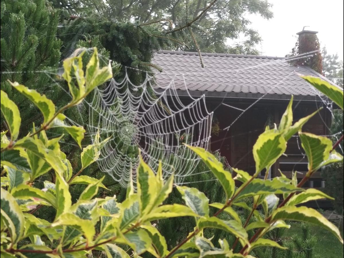 Villa Domek Na Skraju Wsi Dostep Do Jeziora Ublik Konopki Wielkie Exterior foto