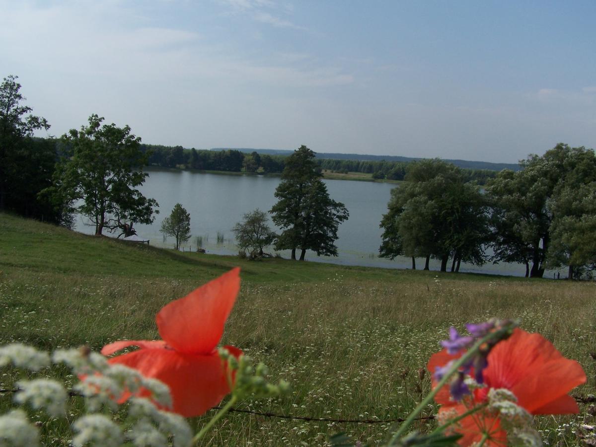 Villa Domek Na Skraju Wsi Dostep Do Jeziora Ublik Konopki Wielkie Exterior foto